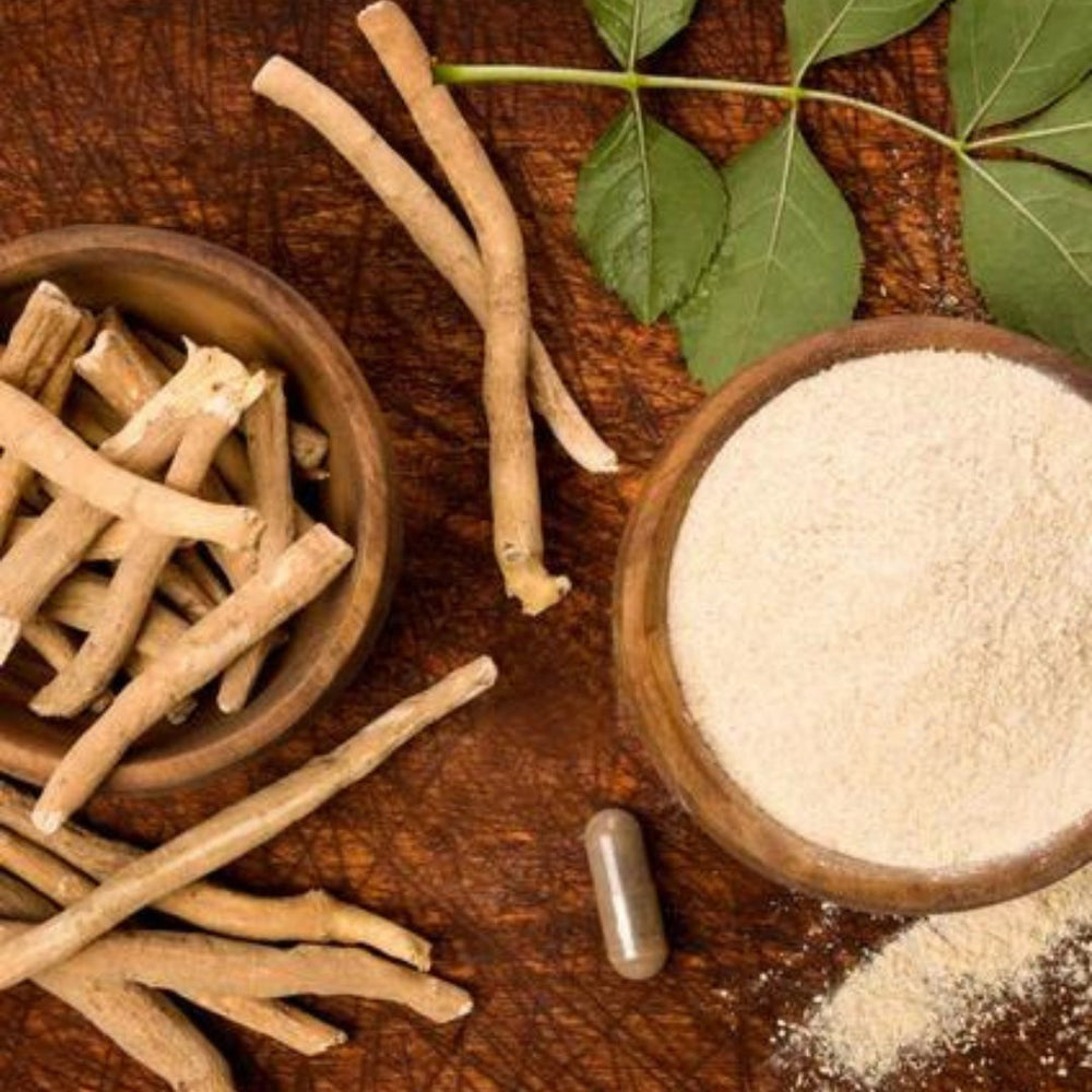 Ashwagandha And Your Immune System - Relaxedfx