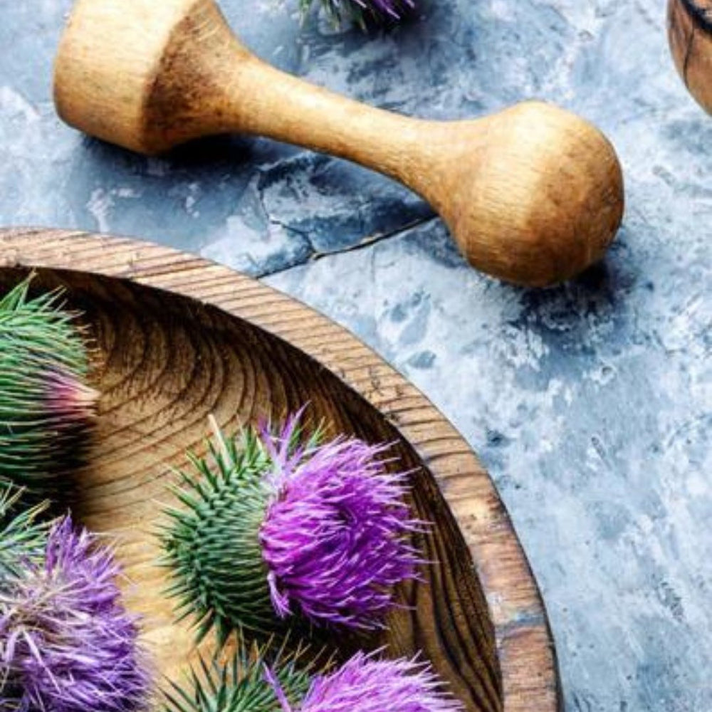 Milk Thistle: Top 5 Benefits You Need to Know - Relaxedfx