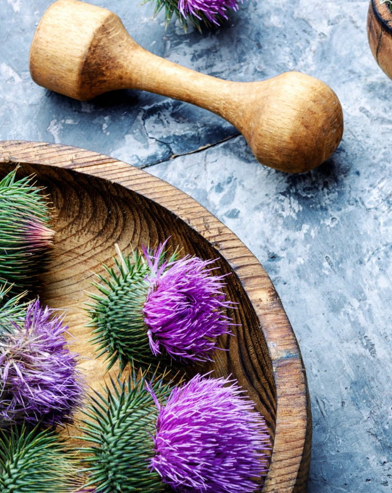 Milk Thistle: Top 5 Benefits You Need to Know - Relaxedfx